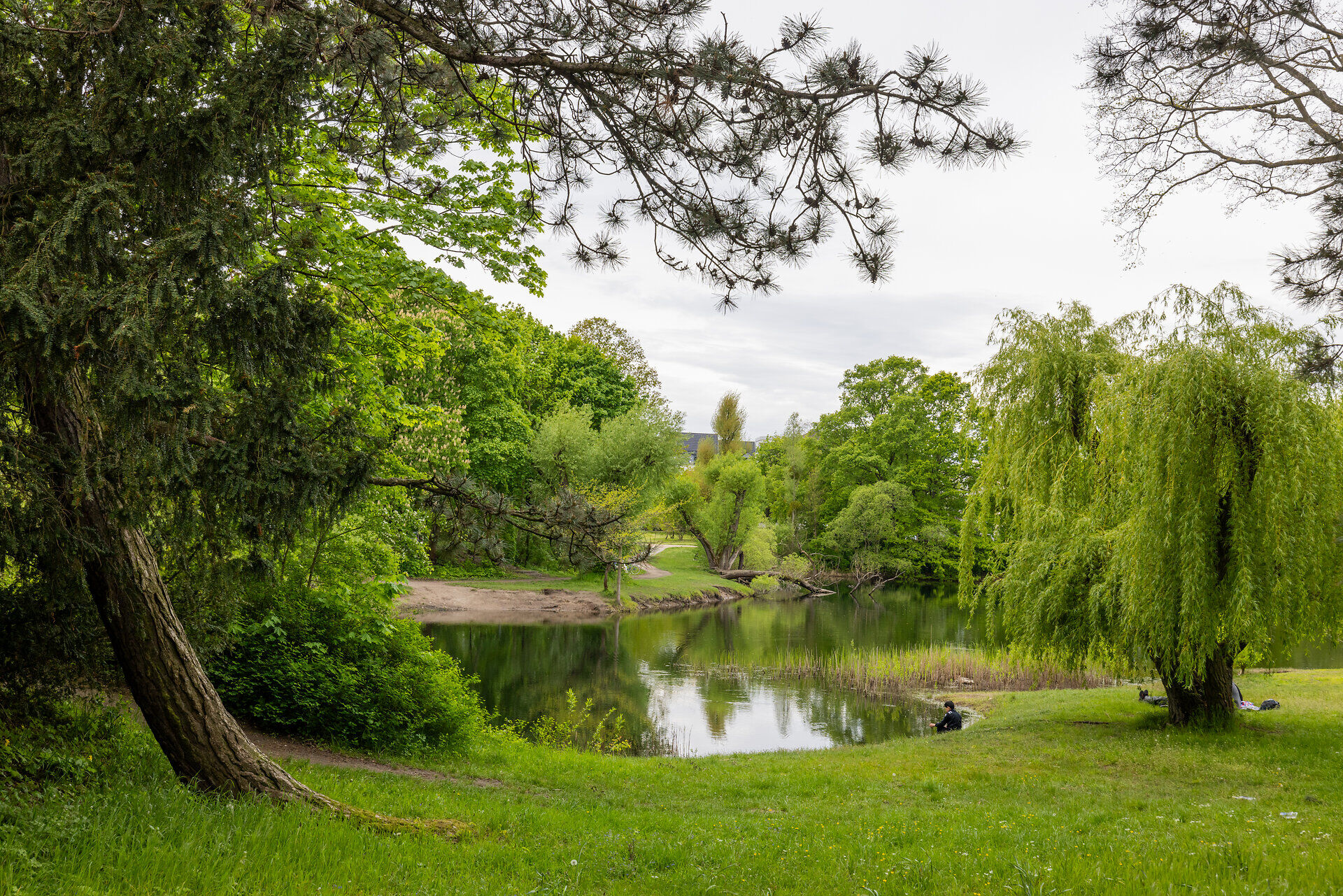 schillerpark in dessau ro lau
