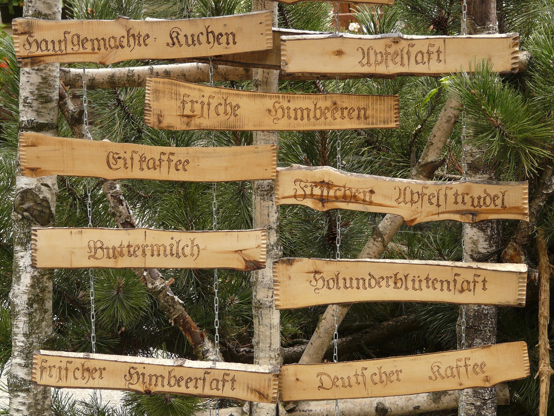 Speisekarte Hans pixabay