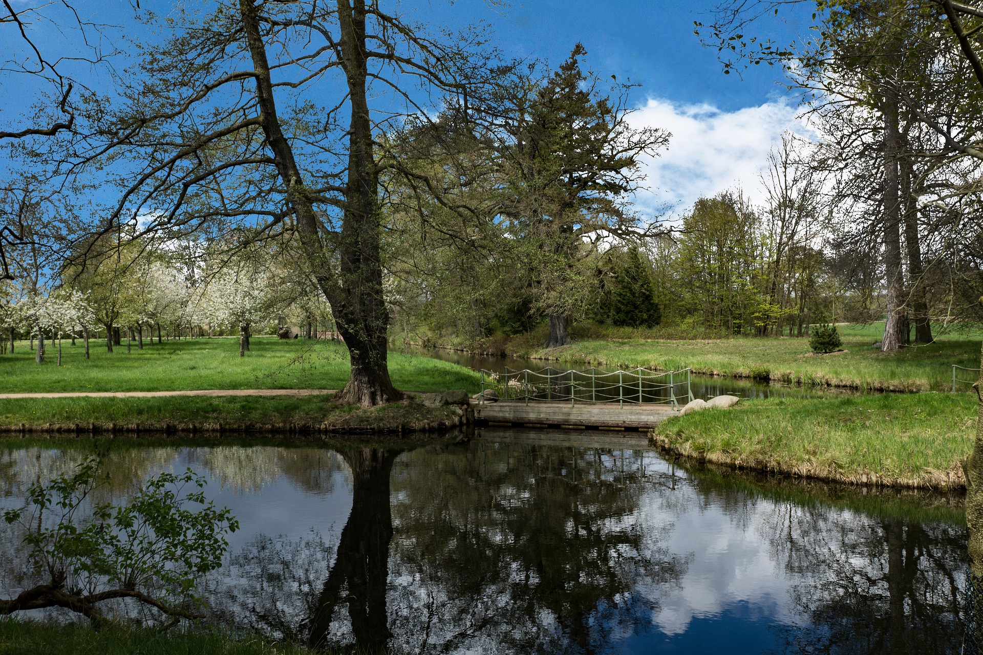 wörlitzer park klausdie pixabay