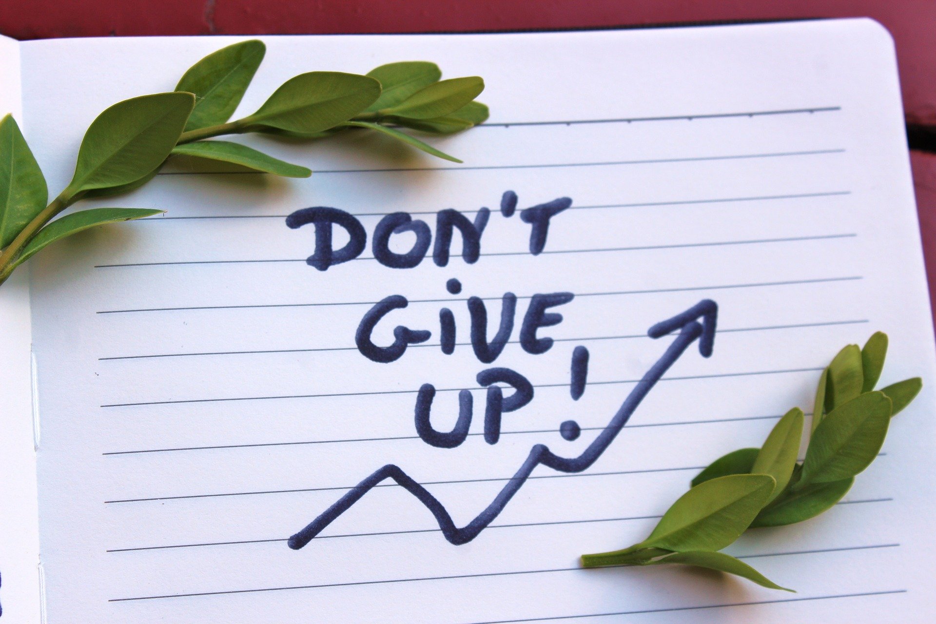 dont give up heteroSapiens pixabay