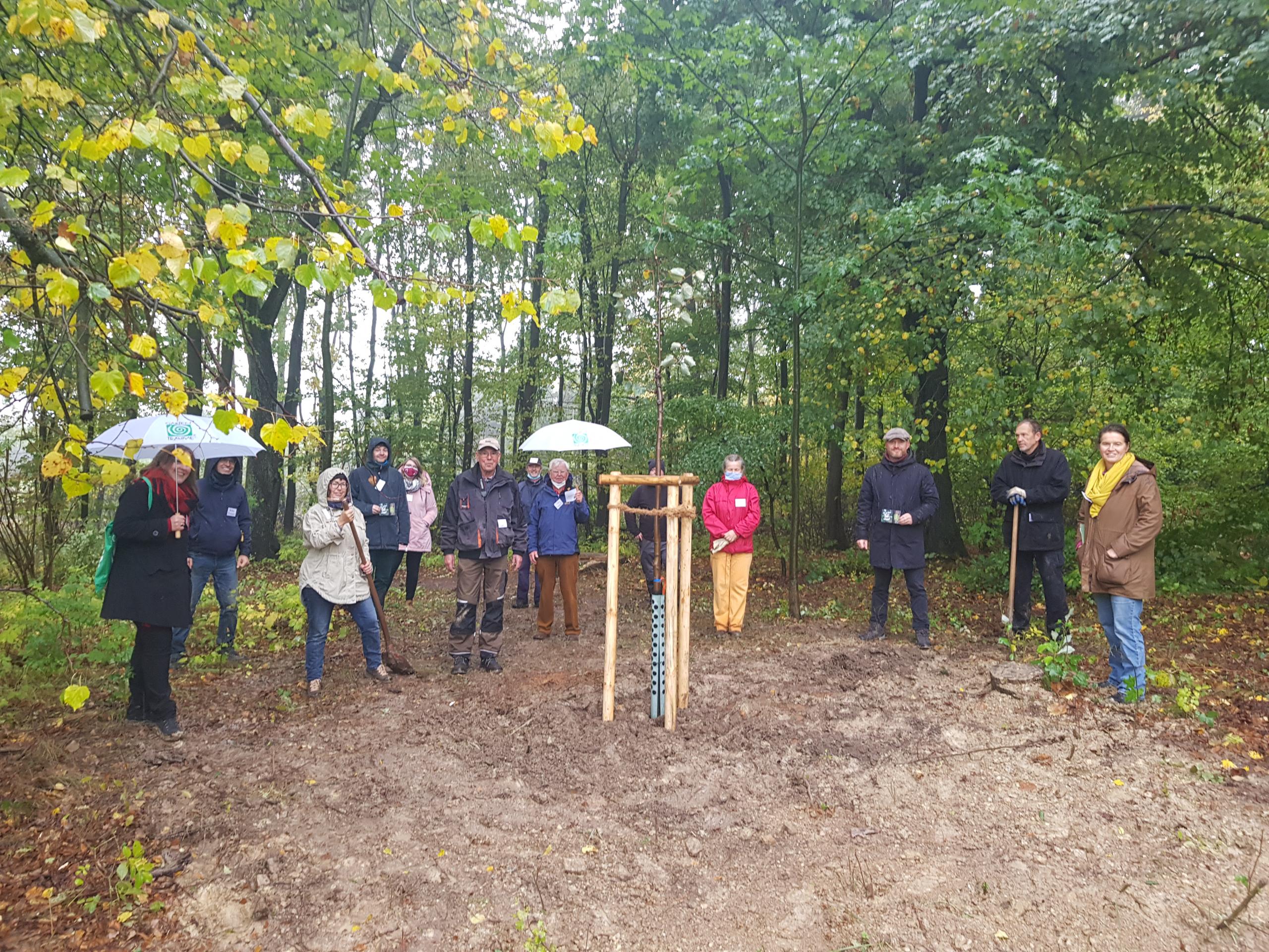 Diverse Menschen stehen um einen frisch gepflanzten Baum herum