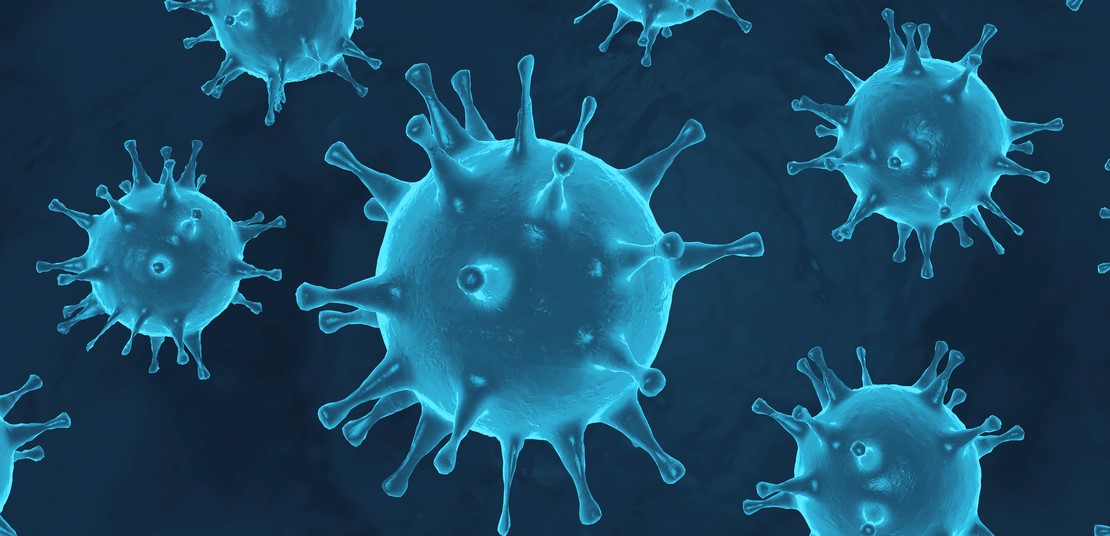 Coronavirus in mikroskopischer Vergrößerung