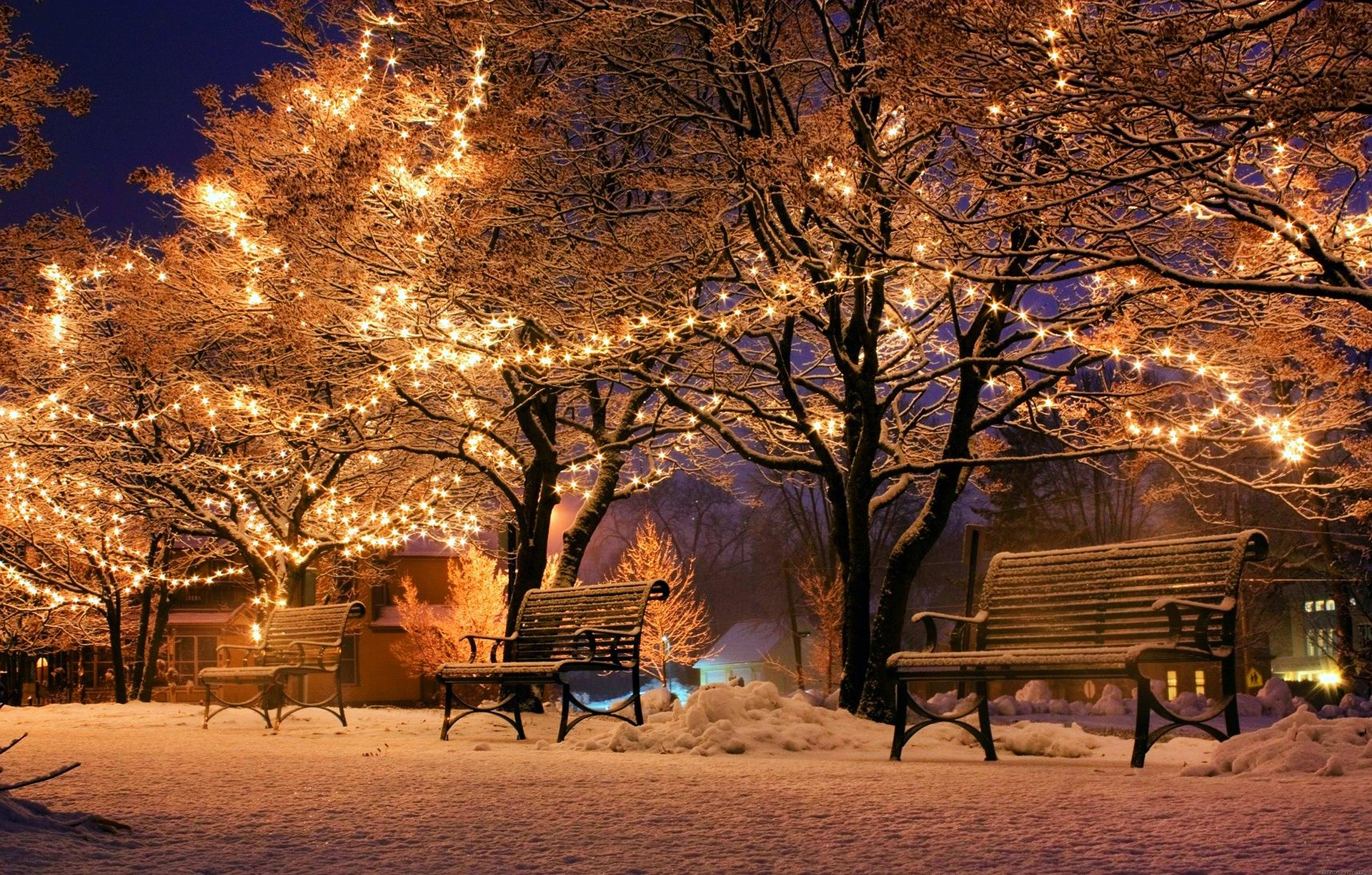 Frohe Weihnachten wünscht der LTV ©pixabay Parkbänke im Schnee mit Lichterketten in den Bäumen