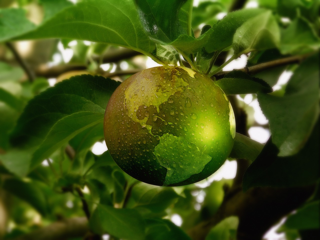 grüner Apfel mit Weltkugel