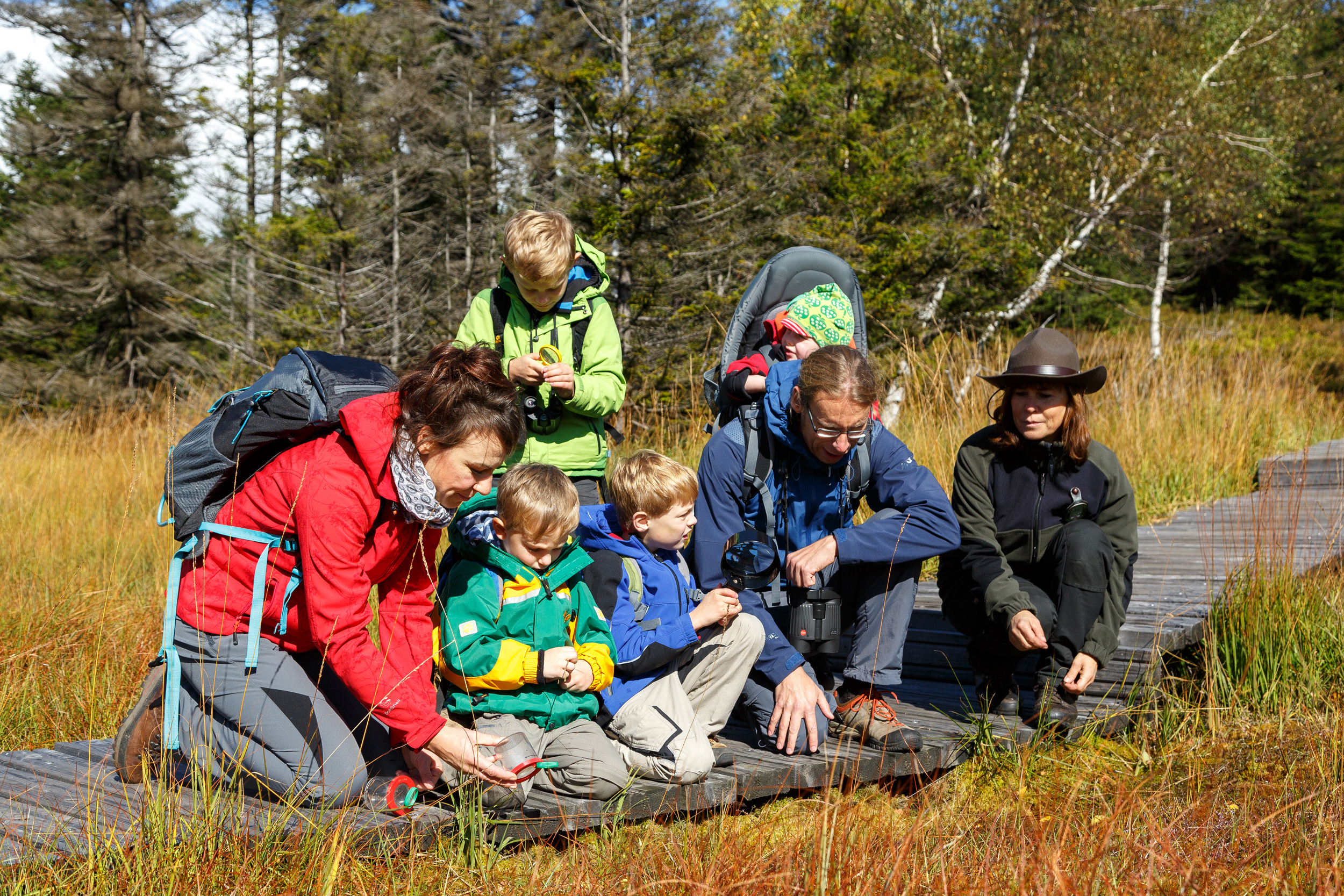 Naturerlebnisse für die ganze Familie im Nationalpark Harz