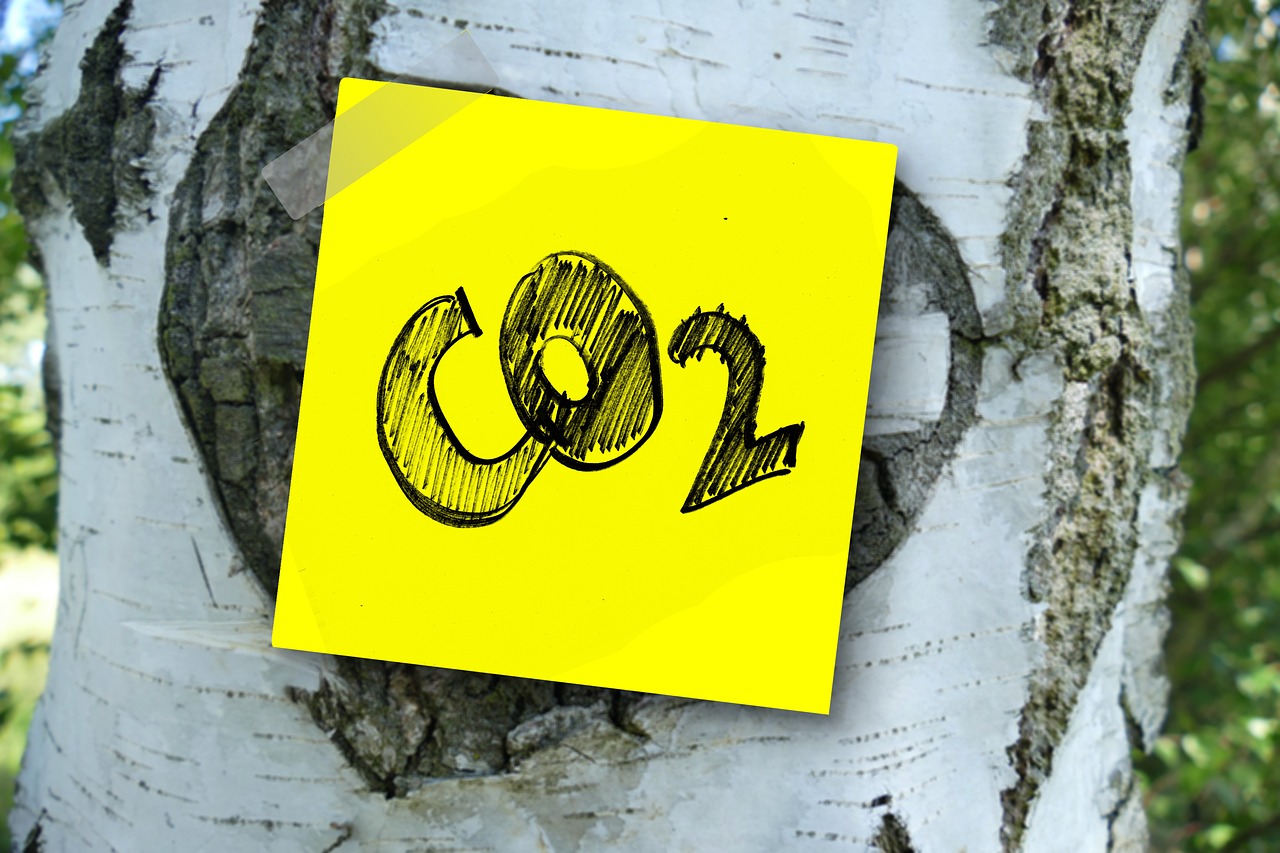 Zettel mit Aufschrift "CO2" an Baum geklebt