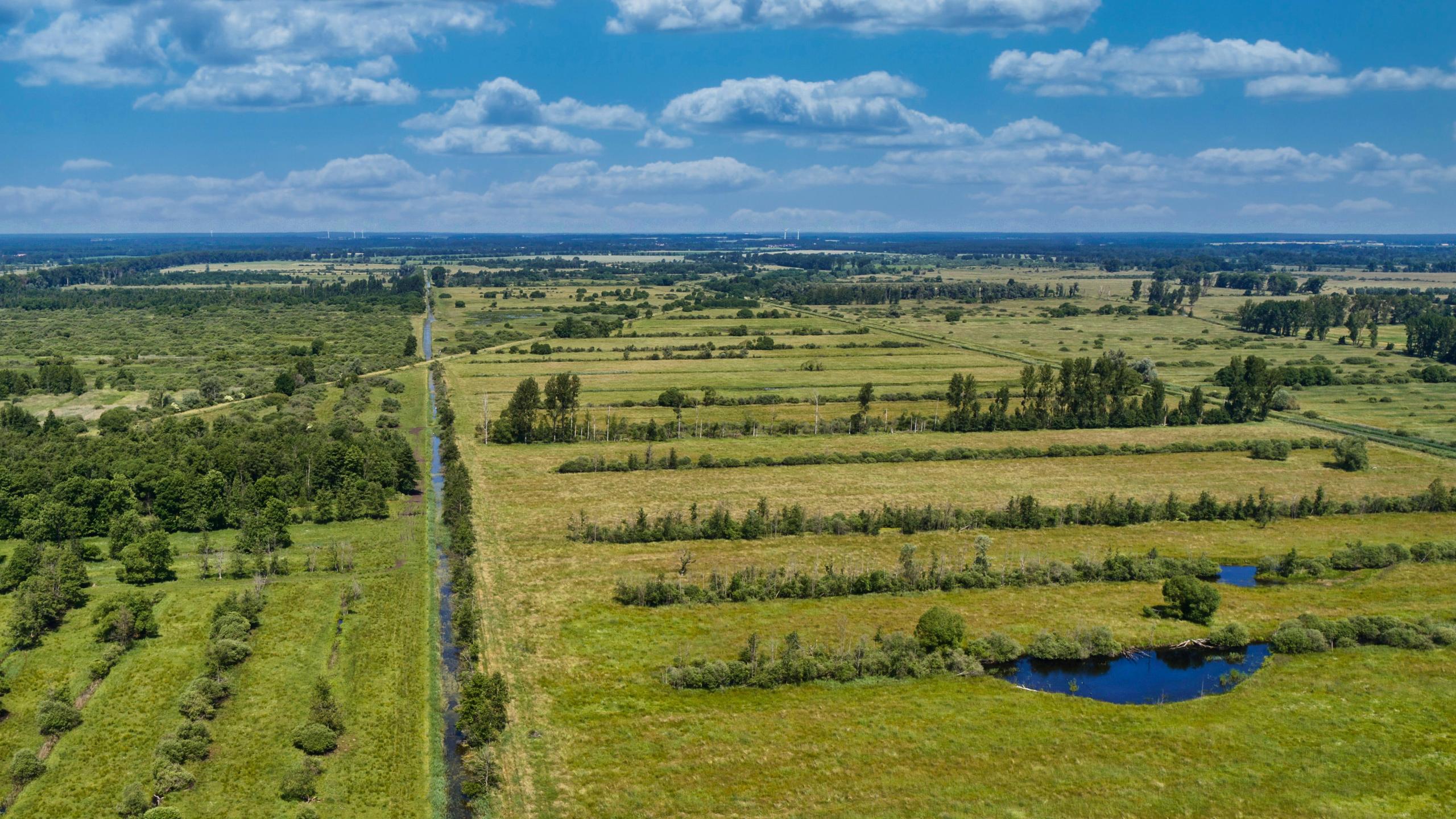 Blick auf die Moordämme im UNESCO-Biosphärenreservat Drömling am Westrand der Altmark