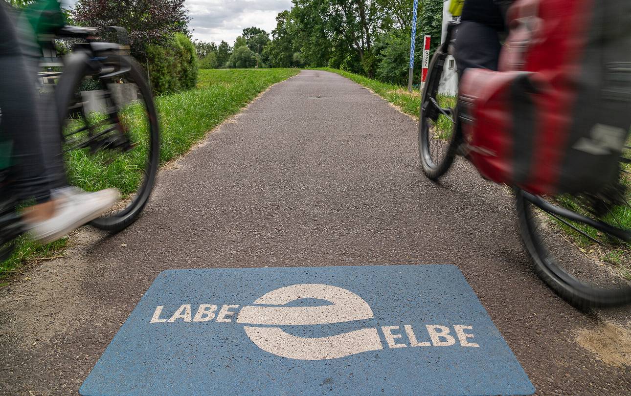 Elberadweg Goes Future: Vor-Ort-Befragungen und Zählungen starten ©Maximilian Semsch elberadweg deich prester md maximilian semsch