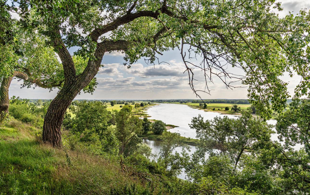Hitze, Waldbrandgefahr, Unwetter: Tourismus bei Klimaanpassung mitdenken ©IMG Sachsen-Anhalt mbH / Siegfried Michael Wagner Steilküste mit Galgenberg Ferchland