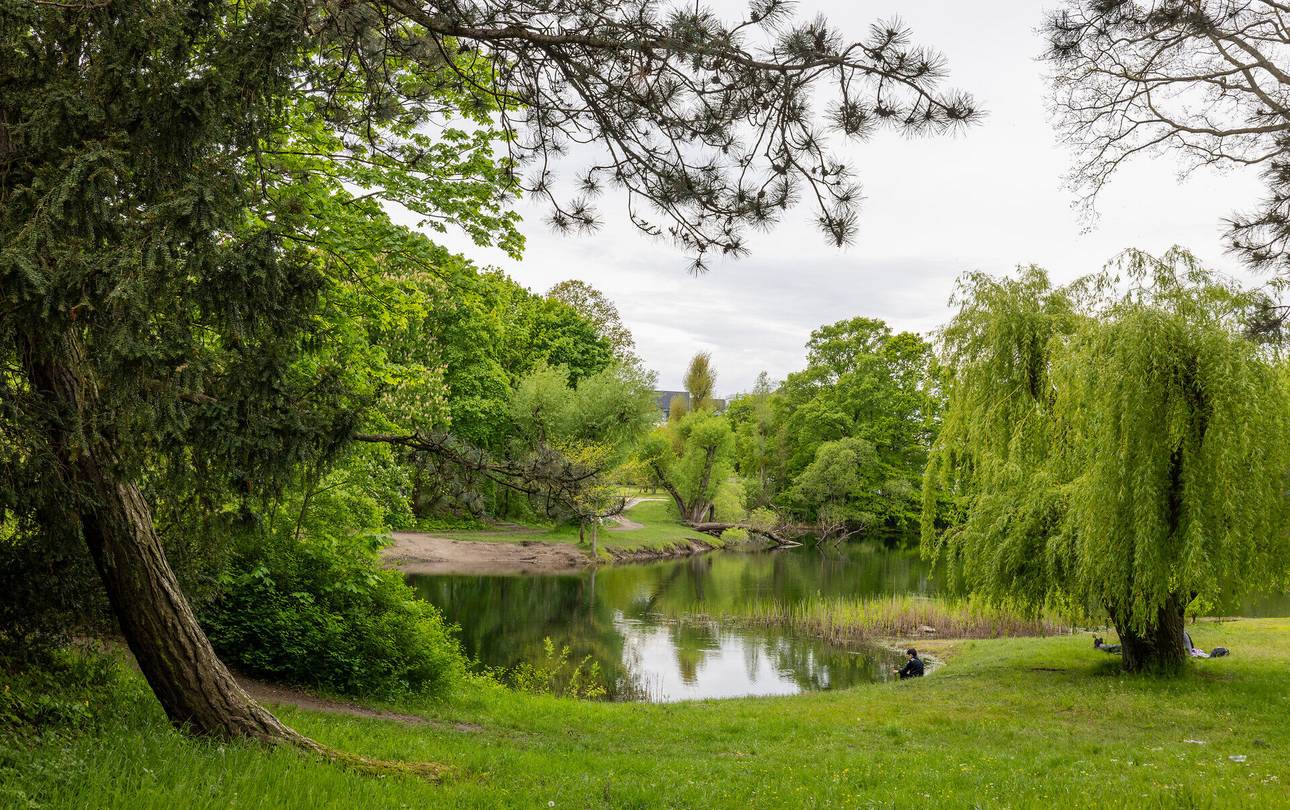 schillerpark in dessau ro lau