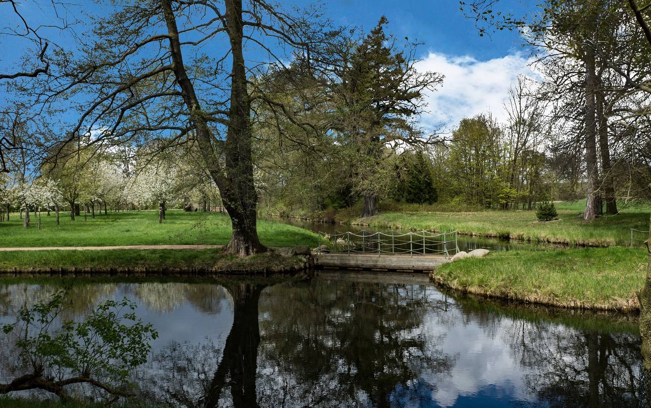 wörlitzer park klausdie pixabay