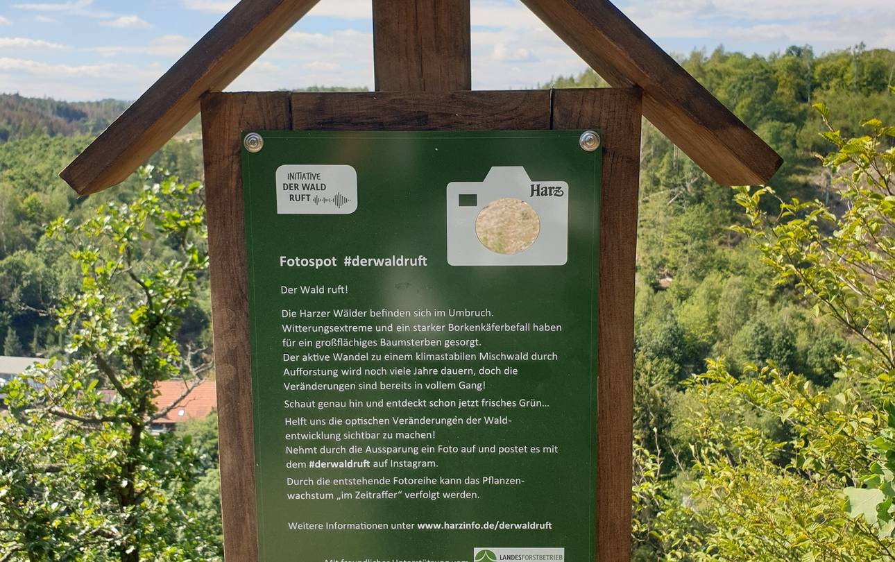 Fotospot Verlobungsurne bei Alexisbad Landesforstbetrieb Sachsen Anhalt