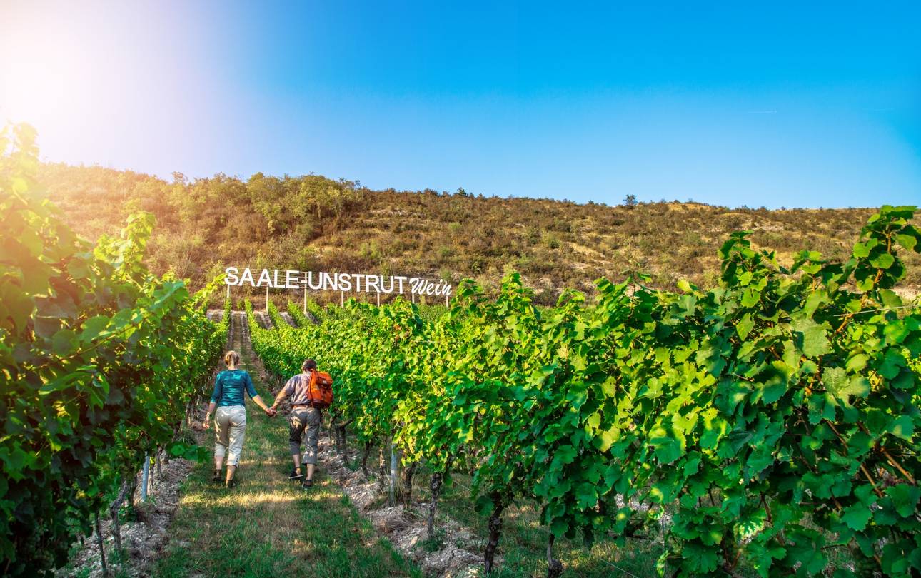 Gemeinsam wandern in Saale-Unstrut ©Saale-Unstrut-Tourismus e.V., Transmedial gemeinsam wandern SaaleUnstrut c sut Transmedial