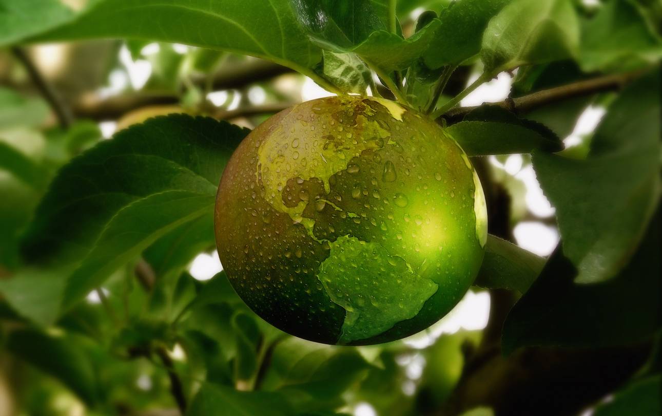 Weltkugel als Apfel