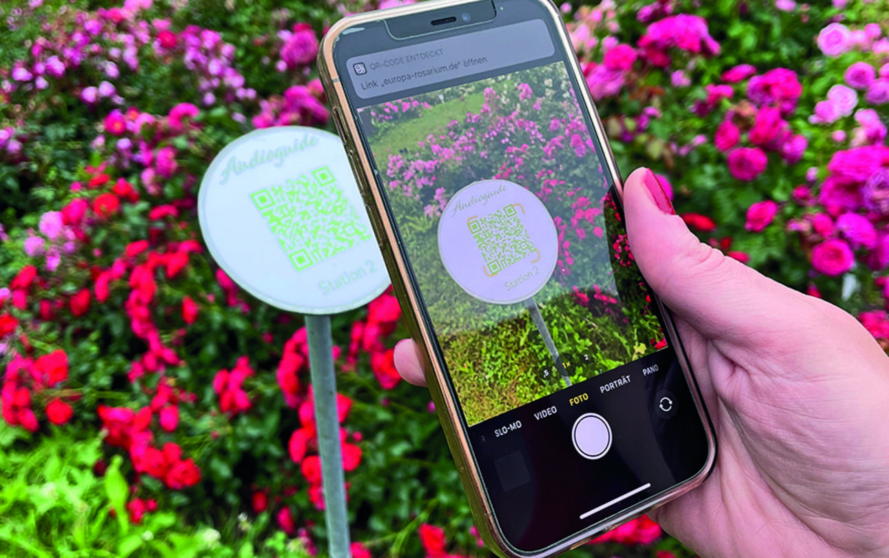 Mit Smartphone im Europa-Rosarium unterwegs