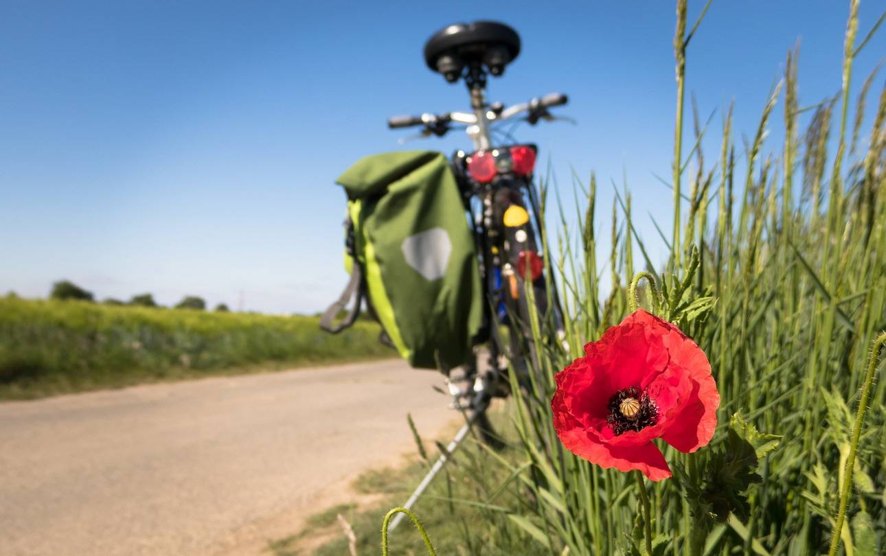 Fahrrad mit Tasche am Wegrand und Mohnblume