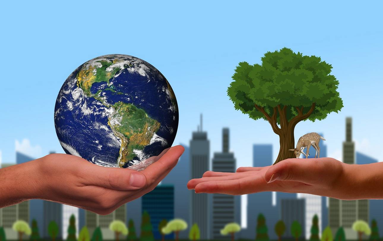 Zwei Hände halten die Erde und einen Baum vor der Kulisse einer Stadt. ©pixabay