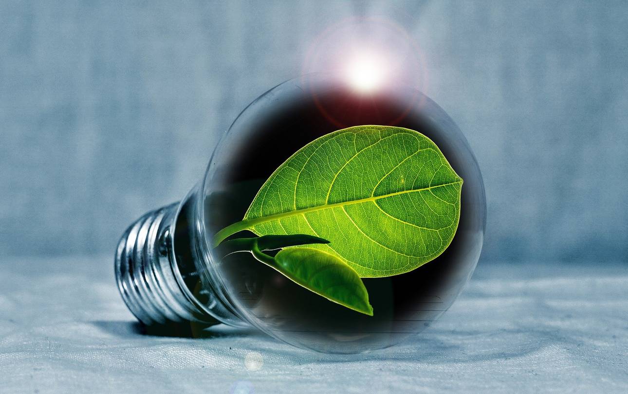 DEHOGA Energiekampagne unterstützt Unternehmen beim Energiesparen ©pixabay Glühbirne mir grünem Blatt