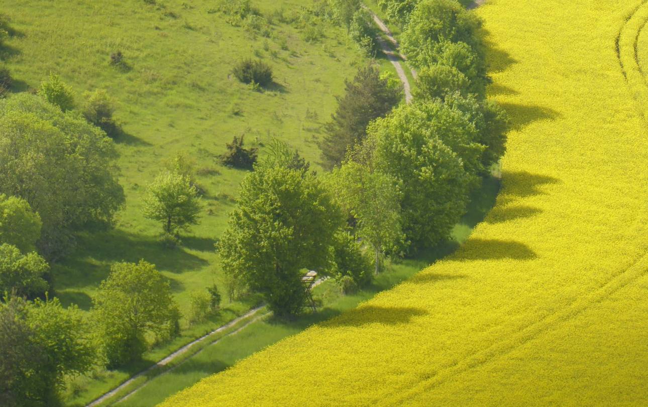 Blick auf Grünes Band