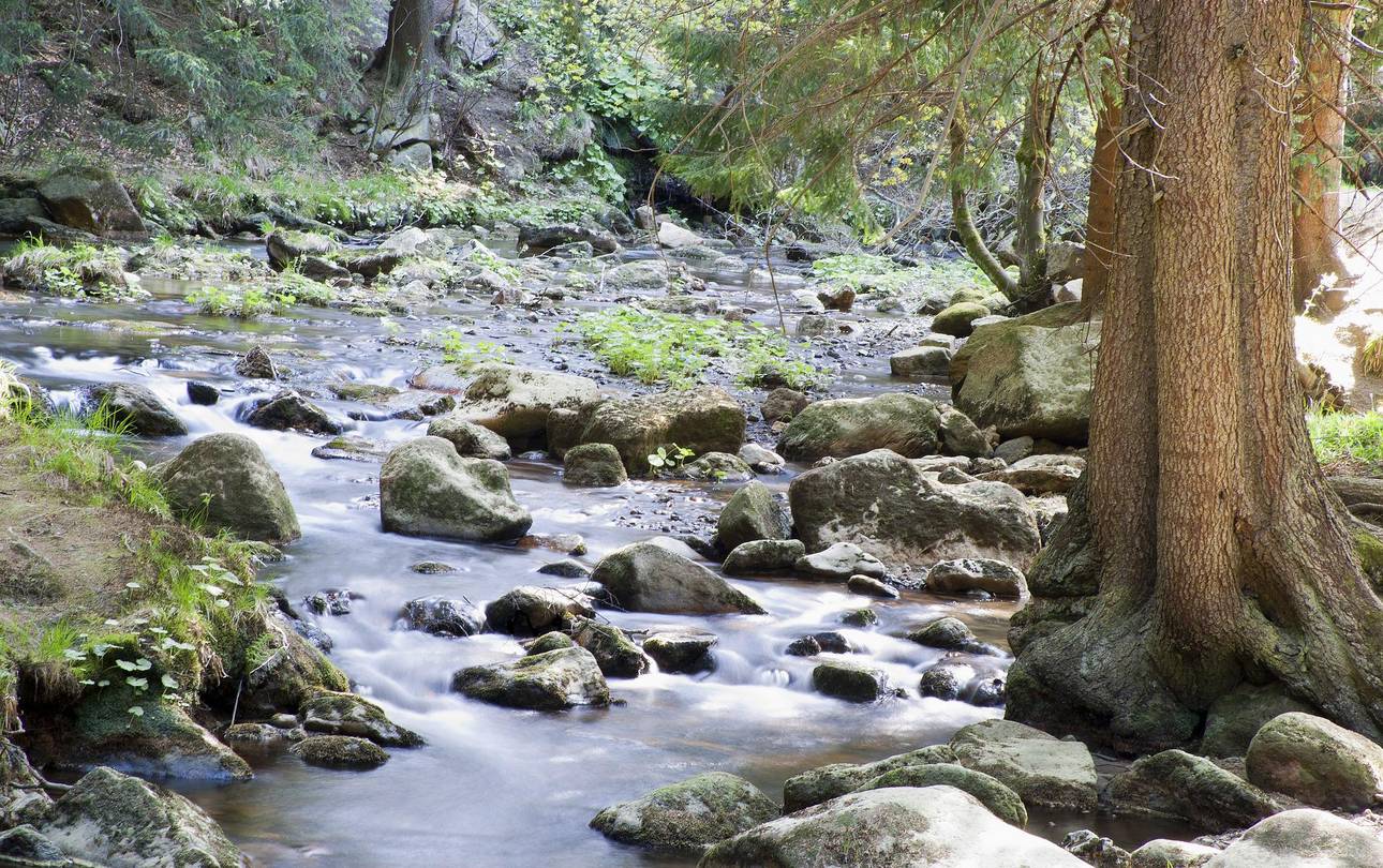 Aus der Lenkungsgruppe DAS SELKETAL: Eine Region, Eine Marke, Ein Qualitätsversprechen ©pixabay Wasserlauf im Harz