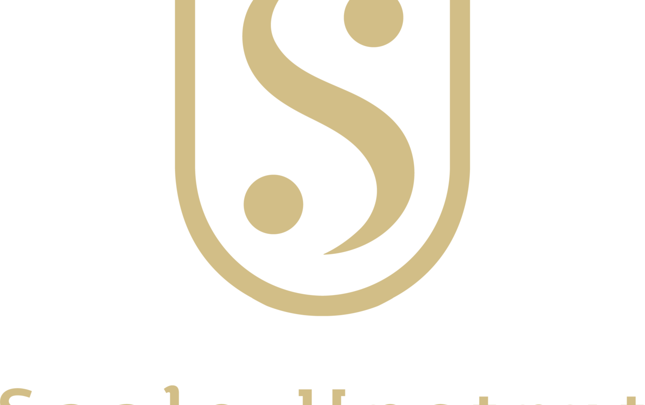 Tourismusorganisation in neuer Struktur ©SUT SUT-Logo