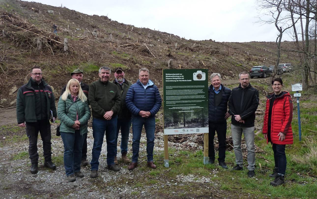 Pressegespräch zur Wiederaufforstung Königshütte