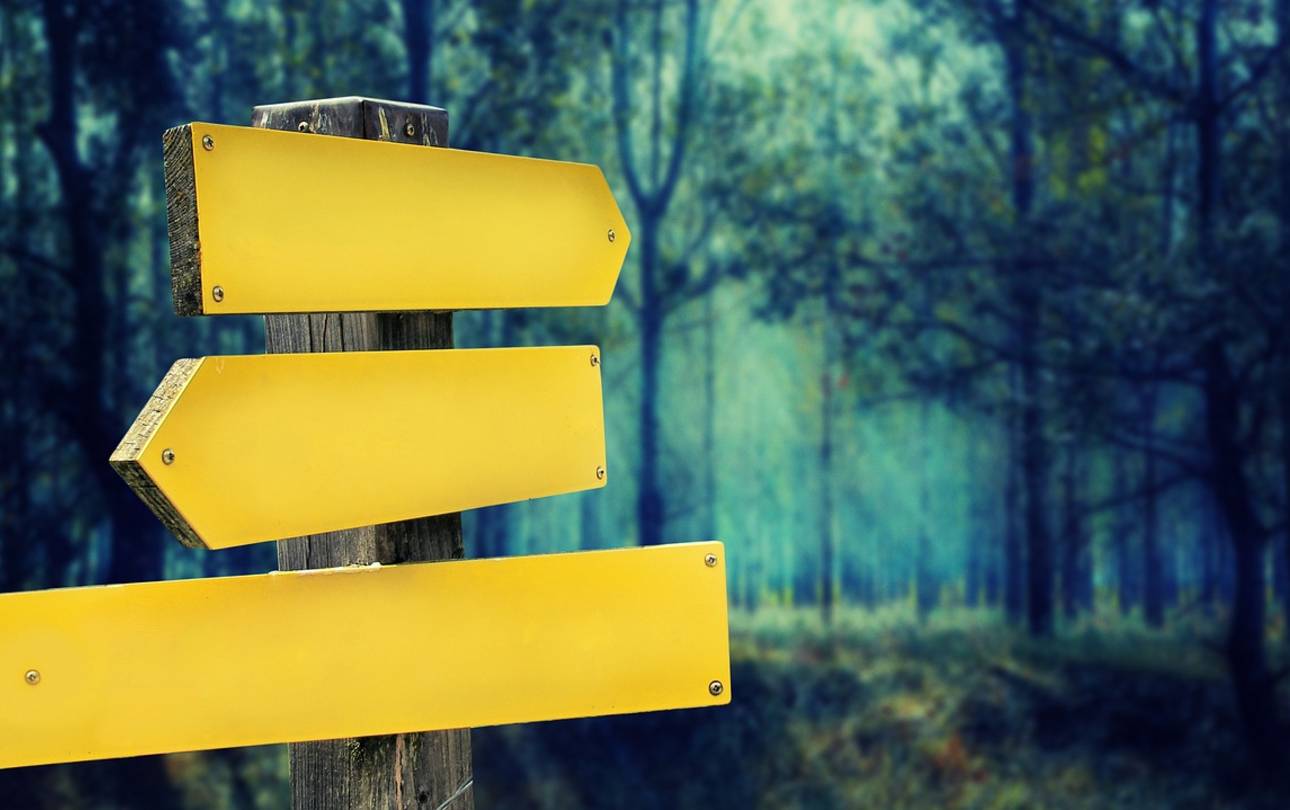 Open Data und digitale Lenkung für Besucher*innen im Wald ©pixabay Wegweiser im Wald