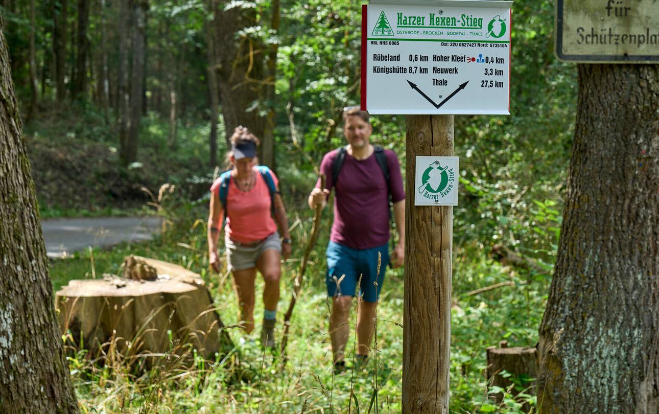 WaldWegweiser jetzt online ©Investitions- und Marketinggesellschaft Sachsen-Anhalt mbH/Lüder Lindau wandern auf dem harzer hexen stieg bei thale 2