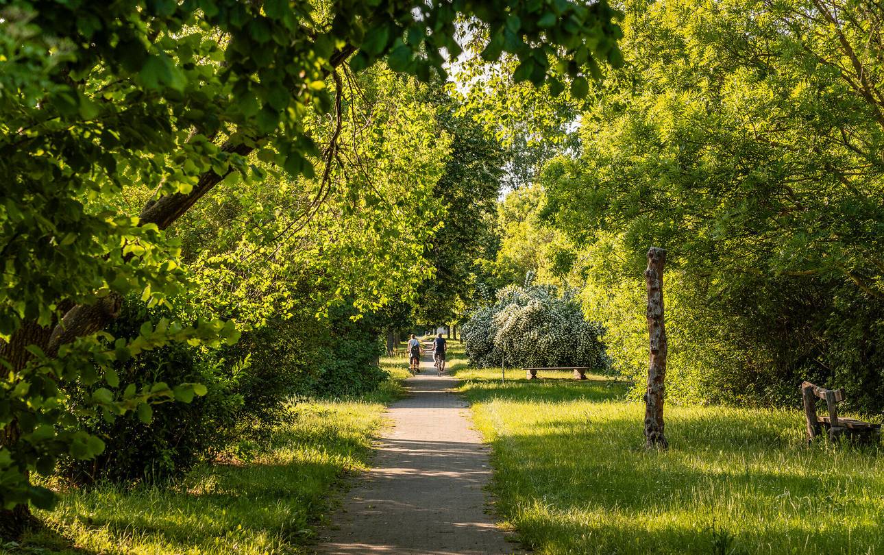 Eine Million Euro für den ländlichen Tourismus: Airbnb und DTV starten gemeinsamen Förderfonds ©IMG Sachsen-Anhalt mbH / Siegfried Michael Wagner Naturerlebnispfad Haldensleben