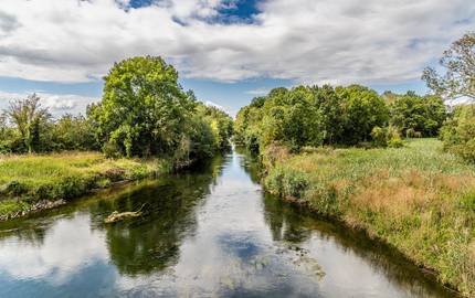 DTV veröffentlicht neuen Praxisleitfaden Nachhaltigkeit für Tourismusdestinationen Naturpark "Unteres Saaletal"
