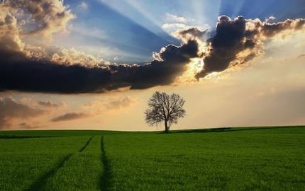 countryside 2175353 1920 TheDigitalArt pixabay