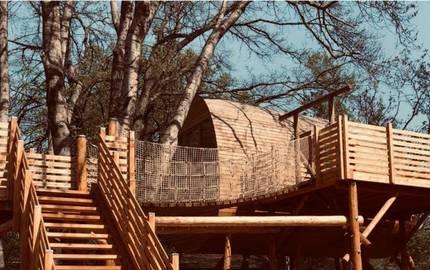 Baumhaus mit Terrasse und Hängebrücke 500 300 Fotos Manuela Schröter 620x372