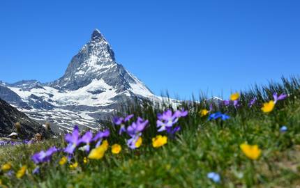matterhorn 1516733 1920 narya pixabay