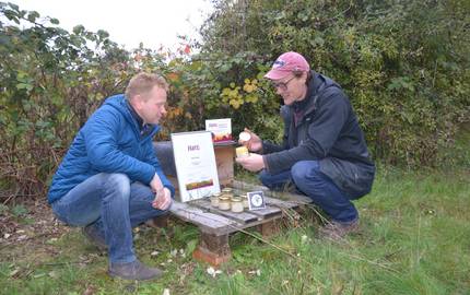 Harzer Honig Tilmann Dreysse Foto HTV 1