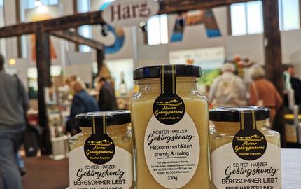 Honig von Koppelin, HTV