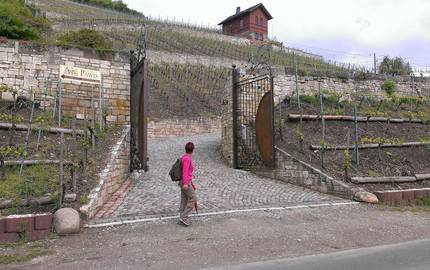 Weinberg Naumburg, Einfahrt zum Weinberg naumburg bstrupp Pixabay