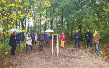 Diverse Menschen stehen um einen frisch gepflanzten Baum herum