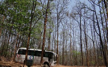 Wald Reisebuss