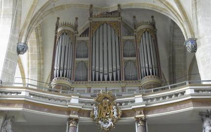 HalleDom7(c)Daniel Schad