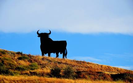 Stierskulptur Spanien
