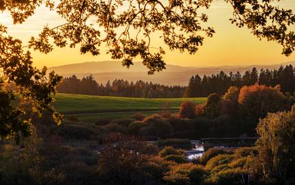 Blick in die Natur