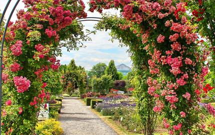 Europa-Rosarium Sangerhausen