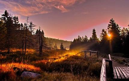 parc national harz photo