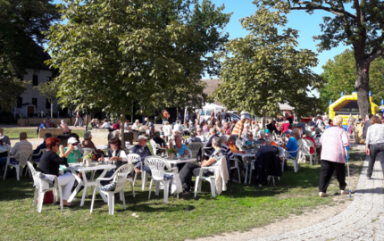 Der Heimatverein Radis e.V. (Landkreis Wittenberg), der jährlich das Sauerkrautfest organisiert, gehört zu den 42 durch den SonderFonds MikroKultur geförderten Vereinen und Initiativen.