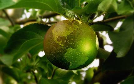 grüner Apfel mit Weltkugel