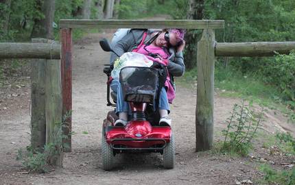Frau im Rollstuhl in der Natur an Holzbarriere