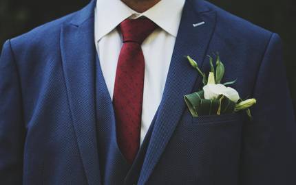 Anzugträger Torso eines jungen Mannes im dunkelblauen Anzug mit roter Krawatte und gelb-grüner Pflanze