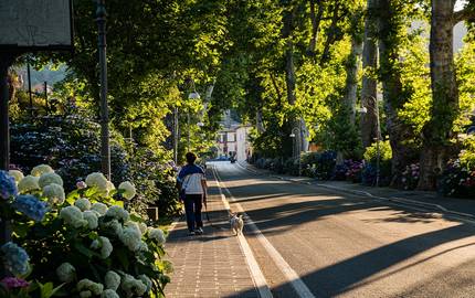 grüne Straße