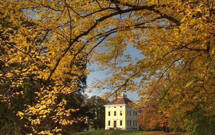 Luisium im Herbst