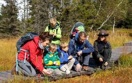 Naturerlebnisse für die ganze Familie im Nationalpark Harz